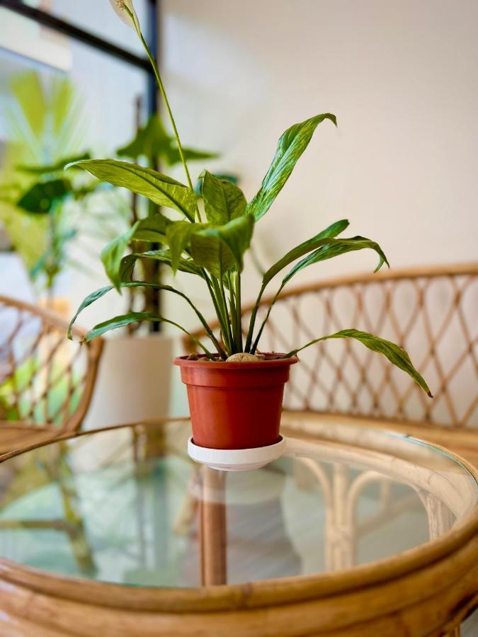 Vencejos Inn - El Nido Ngoại thất bức ảnh